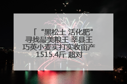 “黑松土 活化肥”寻找最美粮王 莘县王巧英小麦实打实收亩产1515.4斤 超对照田144斤！