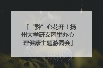 “黔”心花开！扬州大学研支团举办心理健康主题游园会