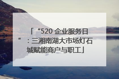 “520 企业服务日”：三湘南湖大市场灯石城赋能商户与职工