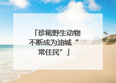 珍稀野生动物不断成为油城“常住民”