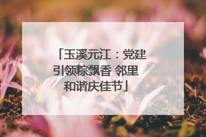 玉溪元江：党建引领粽飘香 邻里和谐庆佳节