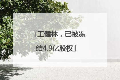 王健林，已被冻结4.9亿股权
