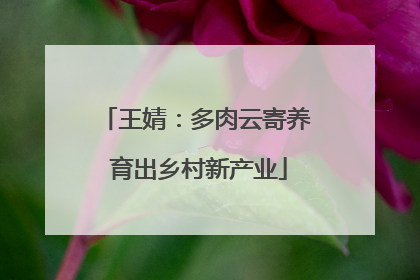 王婧：多肉云寄养 育出乡村新产业