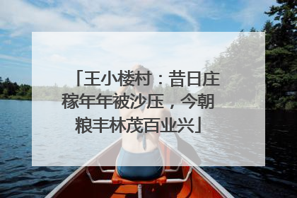 王小楼村：昔日庄稼年年被沙压，今朝粮丰林茂百业兴