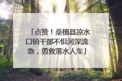 点赞！桑植县凉水口镇干部不惧河深流急，勇救落水人车