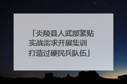 炎陵县人武部紧贴实战需求开展集训 打造过硬民兵队伍