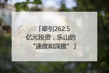 牵引262.5亿元投资，乐山的“速度和深度”