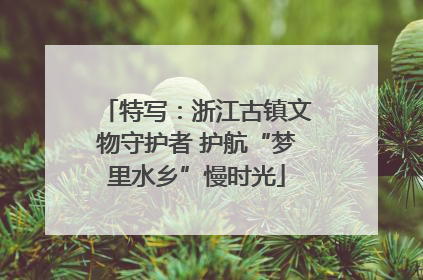 特写：浙江古镇文物守护者 护航“梦里水乡”慢时光