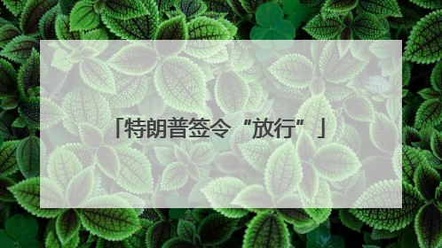 特朗普签令“放行”
