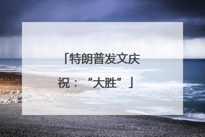 特朗普发文庆祝：“大胜”