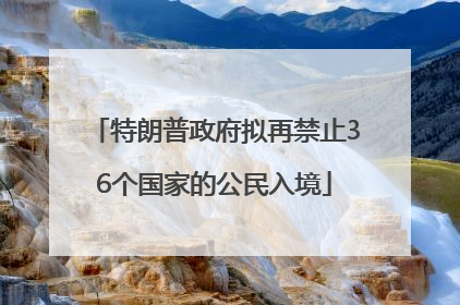特朗普政府拟再禁止36个国家的公民入境