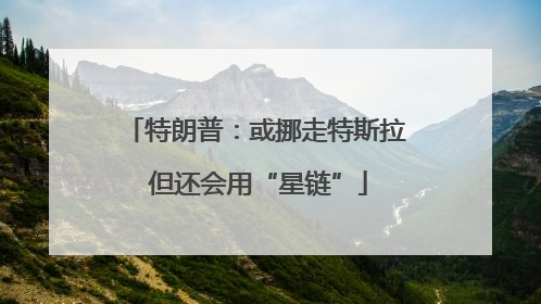 特朗普：或挪走特斯拉 但还会用“星链”
