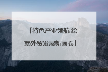 特色产业领航 绘就外贸发展新画卷