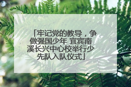 牢记党的教导，争做强国少年 宜宾南溪长兴中心校举行少先队入队仪式