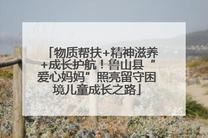 物质帮扶+精神滋养+成长护航！鲁山县“爱心妈妈”照亮留守困境儿童成长之路