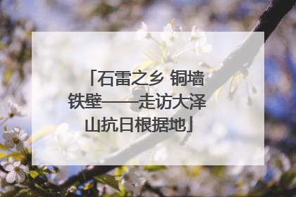 石雷之乡 铜墙铁壁——走访大泽山抗日根据地