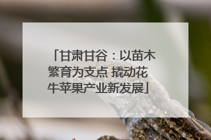 甘肃甘谷：以苗木繁育为支点 撬动花牛苹果产业新发展