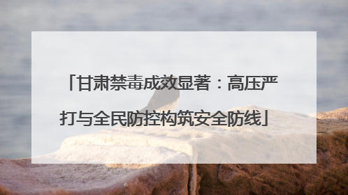 甘肃禁毒成效显著：高压严打与全民防控构筑安全防线
