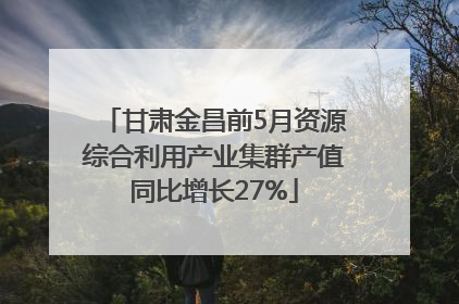 甘肃金昌前5月资源综合利用产业集群产值同比增长27%