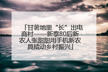 甘薯地里“长”出电商村——新泰80后新农人张甜甜用手机新农具撬动乡村振兴