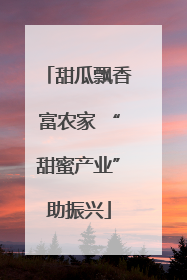 甜瓜飘香富农家 “甜蜜产业”助振兴