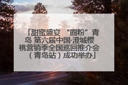 甜蜜盛宴 “圈粉”青岛 第六届中国·澄城樱桃营销季全国巡回推介会（青岛站）成功举办