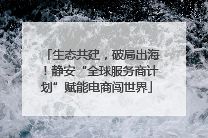 生态共建，破局出海！静安“全球服务商计划”赋能电商闯世界
