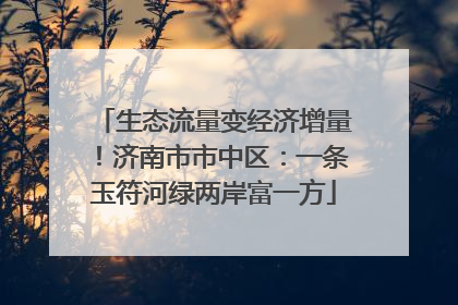 生态流量变经济增量！济南市市中区：一条玉符河绿两岸富一方