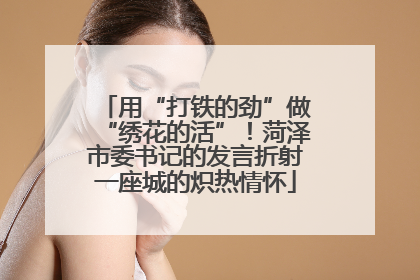 用“打铁的劲”做“绣花的活”！菏泽市委书记的发言折射一座城的炽热情怀
