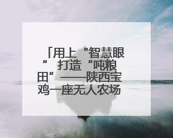 用上“智慧眼” 打造“吨粮田”——陕西宝鸡一座无人农场夏收见闻