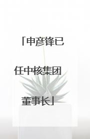 申彦锋已任中核集团董事长