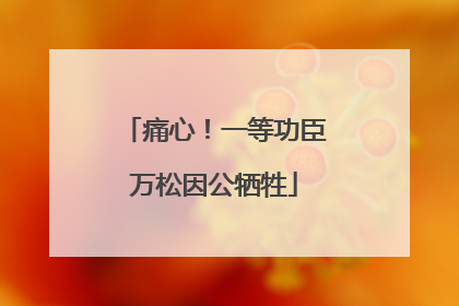 痛心！一等功臣万松因公牺牲