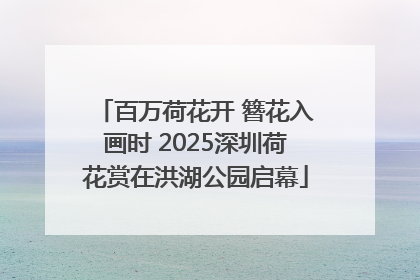 百万荷花开 簪花入画时 2025深圳荷花赏在洪湖公园启幕