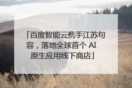 百度智能云携手江苏句容，落地全球首个 AI 原生应用线下商店