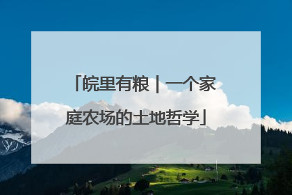 皖里有粮｜一个家庭农场的土地哲学