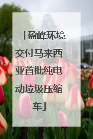盈峰环境交付马来西亚首批纯电动垃圾压缩车