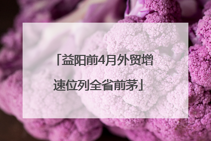 益阳前4月外贸增速位列全省前茅