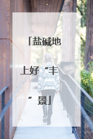 盐碱地上好“丰”景