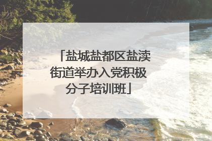 盐城盐都区盐渎街道举办入党积极分子培训班
