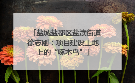 盐城盐都区盐渎街道徐志刚：项目建设工地上的“啄木鸟”