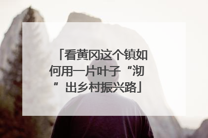 看黄冈这个镇如何用一片叶子“沏”出乡村振兴路