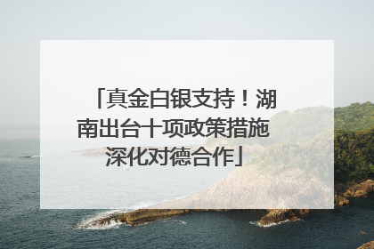 真金白银支持！湖南出台十项政策措施深化对德合作