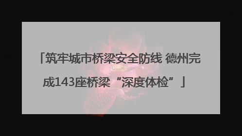 筑牢城市桥梁安全防线 德州完成143座桥梁“深度体检”