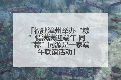 福建漳州举办“粽”情满满迎端午 同“粽”同源是一家端午联谊活动
