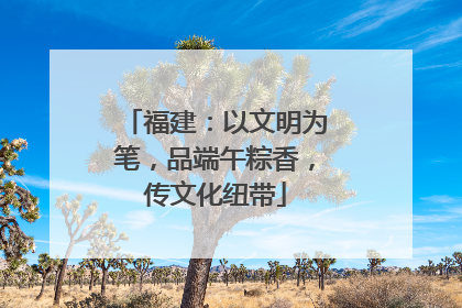 福建：以文明为笔，品端午粽香，传文化纽带