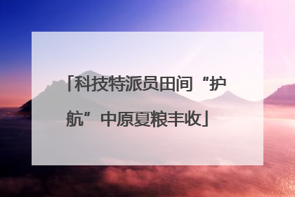 科技特派员田间“护航”中原夏粮丰收
