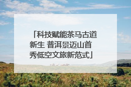 科技赋能茶马古道新生 普洱景迈山首秀低空文旅新范式