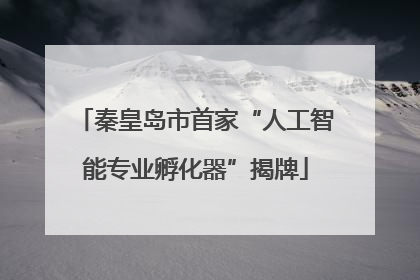 秦皇岛市首家“人工智能专业孵化器”揭牌