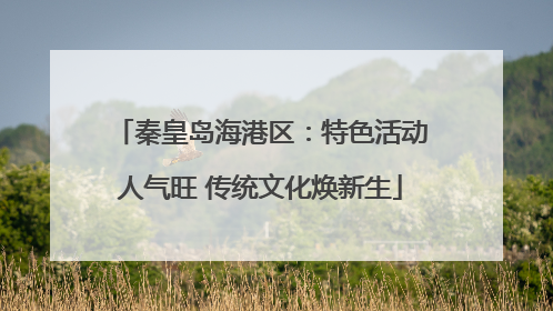秦皇岛海港区：特色活动人气旺 传统文化焕新生