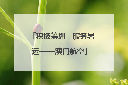 积极筹划，服务暑运——澳门航空
